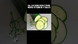 오이 오이의 효능 오이무침 오이소박이 오이김치  오이효능 오이수분 오이맛사지