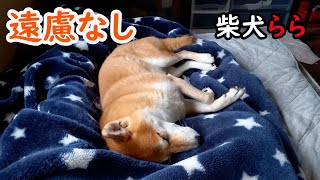 遠慮なし