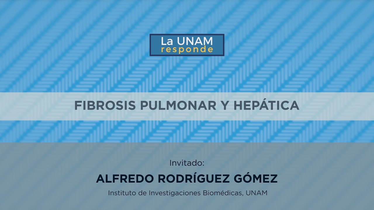 Fibrosis pulmonar y hepática. La UNAM responde 1063