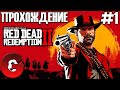 Red Dead Redemption 2 / ПРОХОЖДЕНИЕ #1 / GRACHOK НА ДИКОМ ЗАПАДЕ