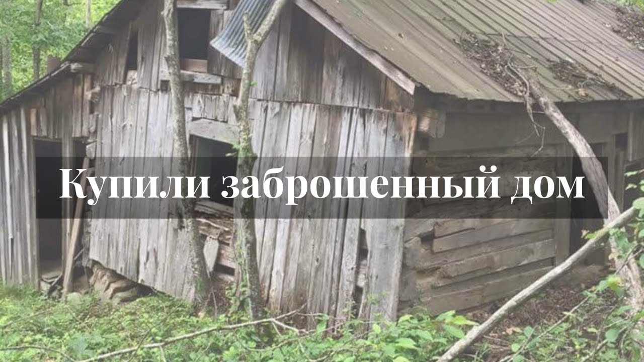 Купили заброшенный домик в лесу.