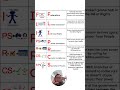 Seven Principles of the Constitution Explained Through Hand Signals
