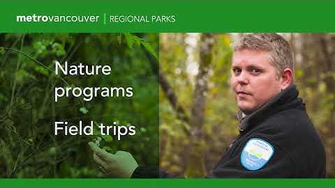 Metro Moment Episode 8