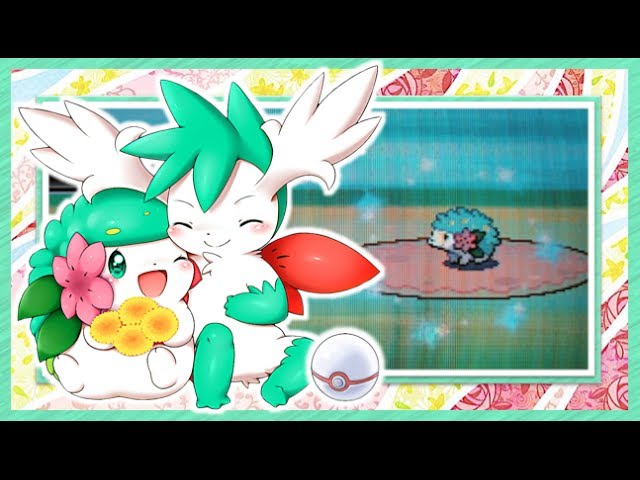 SHINY SHAYMIN in Pokemon Brilliant Diamond! (+ Sky forme