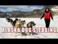 Alaska Dog Sledding On Top Of A Glacier (Short Film)