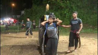 PUNGGAWA SINGGHASARI KALAPAN GUAYENG 🔥LIVE IN Klampok