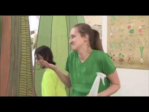 ПОЧЕМУ НАМ НРАВИТСЯ ЗЕЛЁНЫЙ ЦВЕТ?
