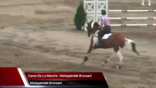 Blainville Jumping 1m20 (4') Canso de la Mancha 072016