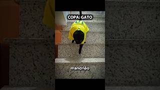 COPA: GATO                                                                   #gatos #copadomundo
