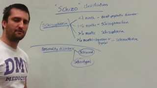 Schizo Classifications: Schizophrenia vs. Personality Disorders