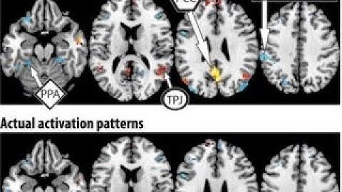 Carnegie Mellon develops computer program to read minds