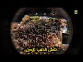 اهزوجة الإتحاد حب العميد 2025 Ittihadclub 