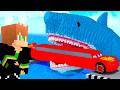 CARROS da VIDA REAL vs MEGALODON GIGANTE