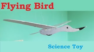 Flying Brid (Hanging)  for kids - A Science Toy