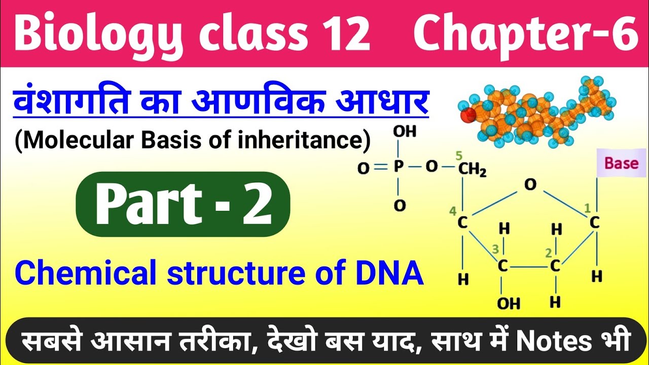 Biology class 12 chapter 6 vanshagati ka aanvik aadhar | dna ki ...