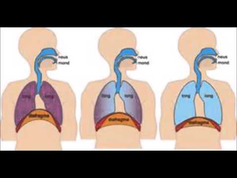 Video: Angst: Ademhalingsproblemen En Oefeningen