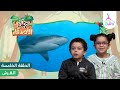 رحلة الأصدقاء رنا وسمير إلى البحر للتعرف على القرش قناة روضة للأطفال