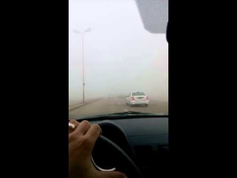 شبورة اوروبية في مصر   