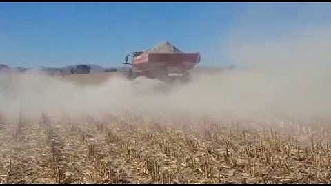 BPI Zeus Implement spreading manure in Vrede