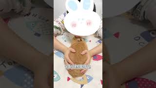 兔兔向你表達愛意時，你知道該如何回應嗎？🐰❤️ #兔兔 #兔子訓練 #寵物 #兔子 #訓練技巧 #飼養知識 #寵物互動 #cute #funny #bunny #pets #animals