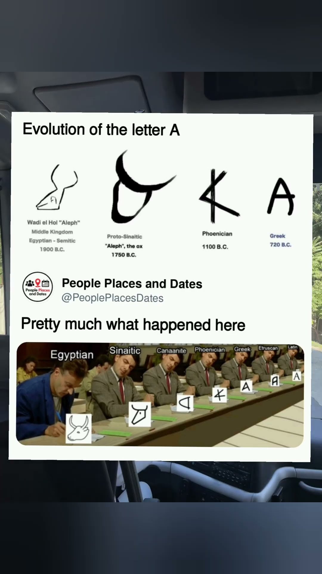 Insane evolution #funny #memes #trending #viral