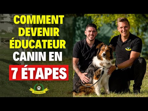 Comment Devenir Dresseur De Chiens En 2021