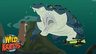 Creature Battles! | Every Creature Showdown Part 14 | New Compilation | Wild Kratts