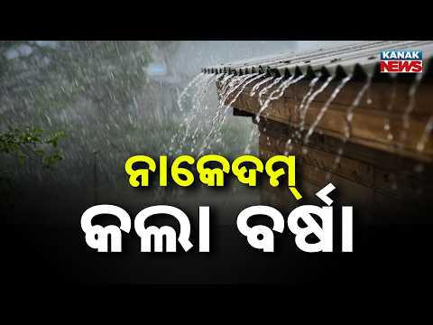 Massive Low-Pressure Impact! IMD Issues Red, Orange & Yellow Alerts as Odisha Braces for Flood Risk