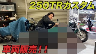【250TR】カスタム車両紹介!!