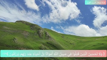 الاية ١٦٩ من سورة آل عمران بصوت الشيخ ايمن رشدي سويد surah al imran ayat 169 Ayman suwayd