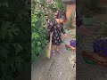 7 июня 2026 г.