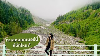 ตามไปดูยอดเขาที่สูงที่สุด อันดับ 4 ของอเมริกา A beautiful foggy day at Mt. Rainier National Park