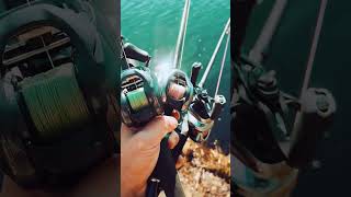 Какой кастинг лучше работает с воблерами?! Рыбалка с мультипликатором.