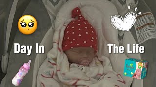 Ditl With a Full body Silicone baby|Reborns World