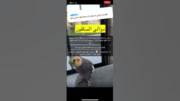 علاج دوالي الساقين بالتغذيه الدكتور عمار العمار 