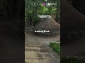 Paanch Skandh In Buddhism For A Detailed Video Visit Channel Paanch Skandh In Buddhism For A Detailed Video Visit Channel