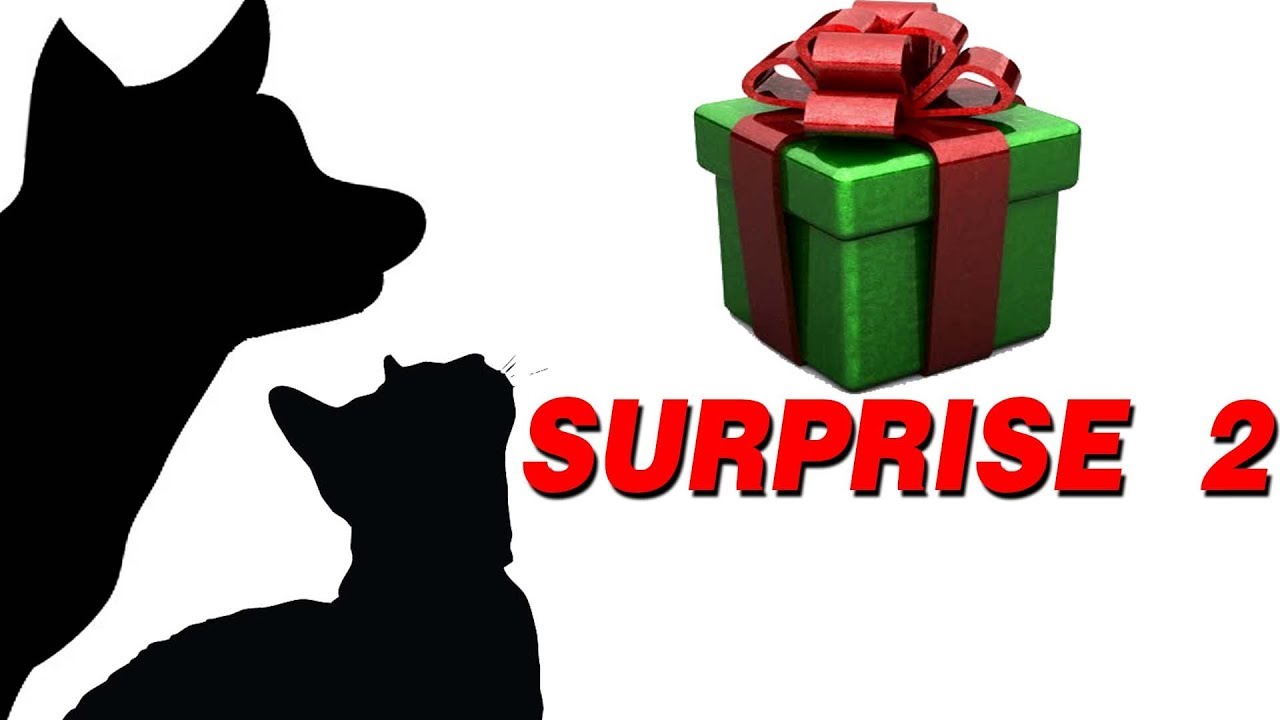 CAT GAMES HOLIDAY SURPRISE 2 (FOR CATS ONLY) YouTube