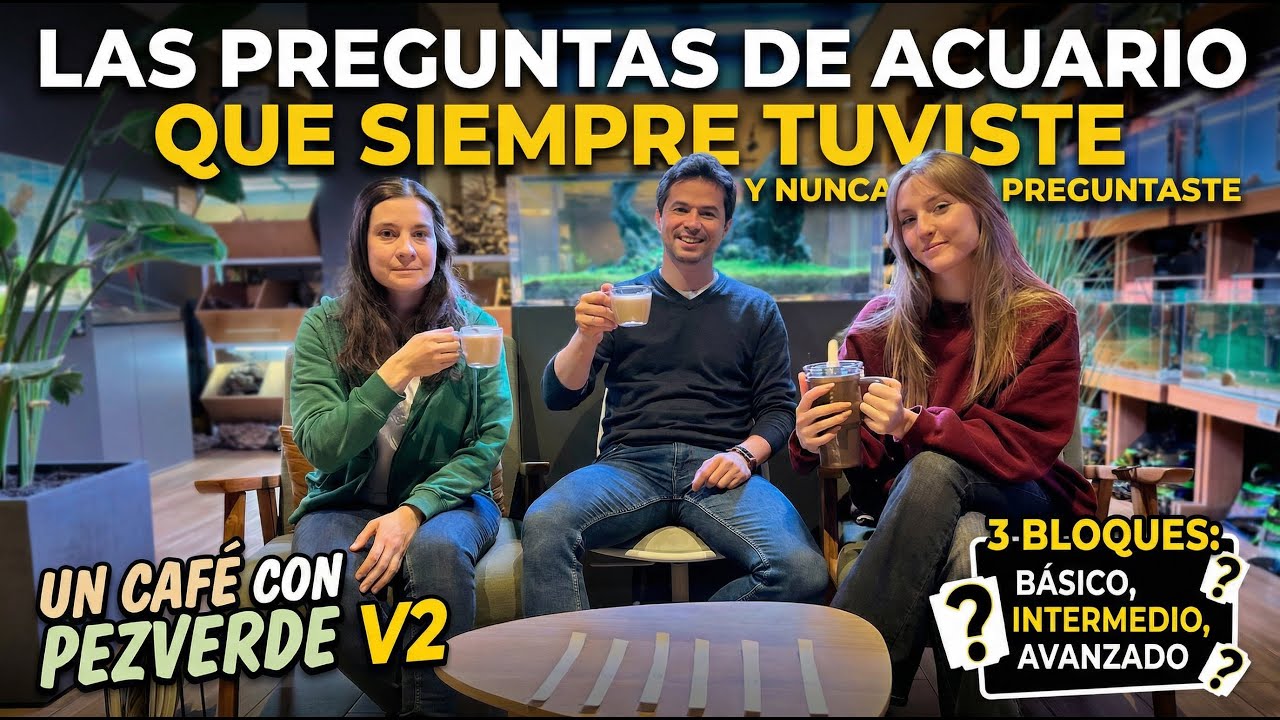 Las preguntas de acuario que siempre tuviste y nunca preguntaste | Un café con PezVerde V2