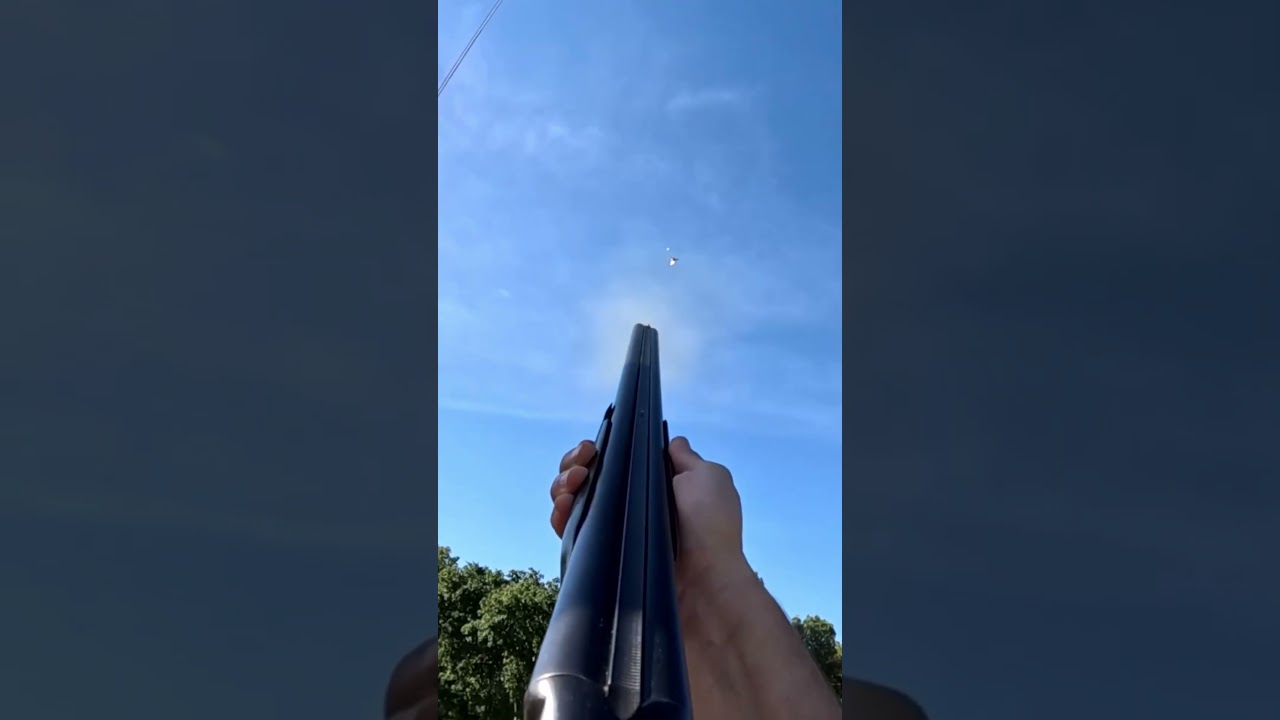 Hunting Doves with Antique Winchester Model 21 Double Barrel Shotgun 