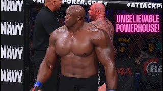 WOW... WWE Stars Who DESTROYED MMA Fighters!