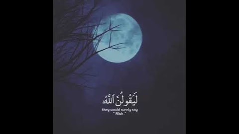 وَلَئِن سَأَلْتَهُمْ لَيَقُولُنَّ إِنَّمَا كُنَّا نَخُوضُ وَنَلْعَبُ ۚ (65) سورة التوبة