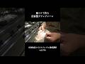 豚トロで作る自家製グアンチャーレ