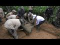 Tomas de la Ciudad Blanca en extracción de piedra