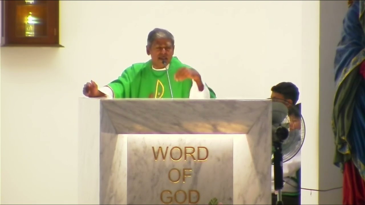 Homily Extract - 25th Sunday in Ordinary Time