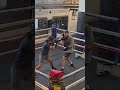 Effektivität der Philly Shell🥊#phillyshell #sparring #boxingdefense #boxen #jasoboxing