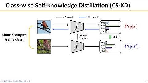 Regularizing Class-Wise Predictions via Self-Knowledge Distillation
