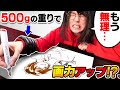【拷問】「500gの重り」をつけて絵を描き続けたら、重りを外した時作画スピード爆速になる説wwwwwwwwww