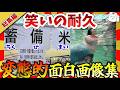 【🔥爆笑:総集編】37分笑いの耐久!変●的面白画像&映像集!