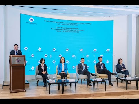 Video: Finansų Ministerija Paskelbė Valiutos Kontrolės Liberalizavimo Pasiūlymus