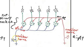 sound localization